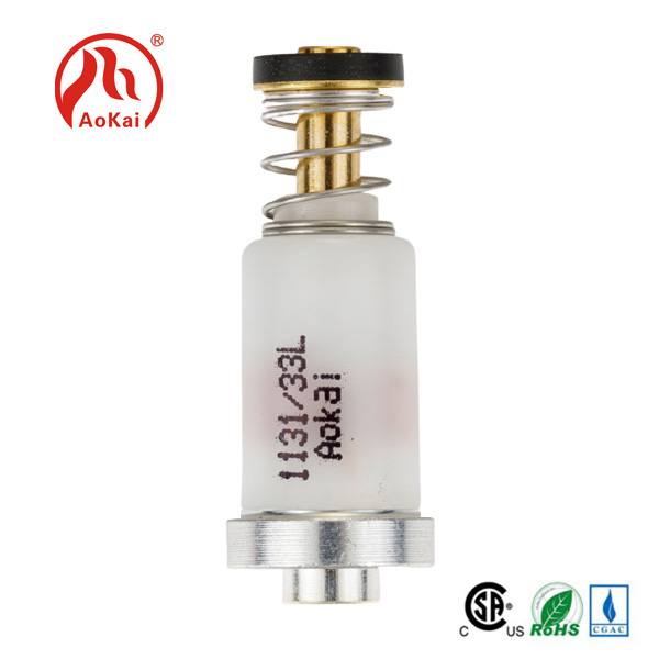 การทำให้เปลวไฟสมบูรณ์แบบ: บทบาทของ Solenoid Valve BBQ ในการย่างความเชี่ยวชาญ